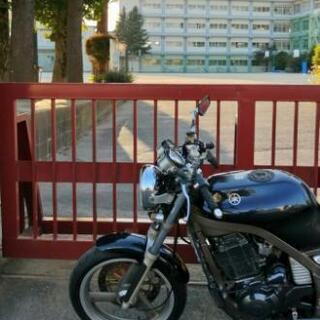 ヤマハSRX600の画像