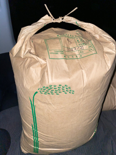 令和元年度　ひのひかり　30㎏