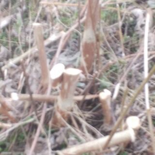 土地の整地など