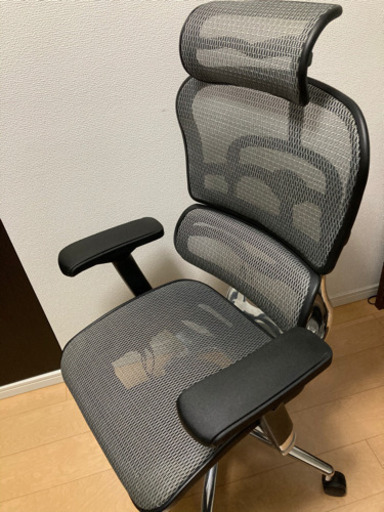 【美品】エルゴヒューマン ベーシック