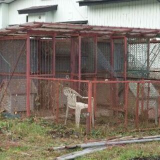 オリジナル犬小屋