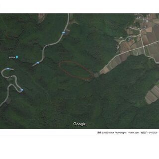 佐野市の山林を売却します。　約6000坪(一筆)