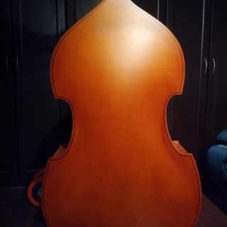  ハルシュタット ウッドベース WBS-800 4/4   Hallstatt コントラバスの画像