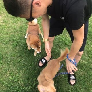 犬🐩好きな方と繋がりたいです！ - メンバー募集