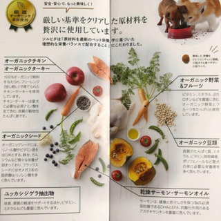 緊急値下げ！！新製品✨ソルビダ　室内飼育全年齢対応オーガニックターキーの画像