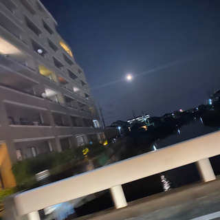 お友達が欲しいです