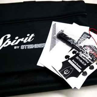 スタインバーガー　spirit 5弦ベースの画像