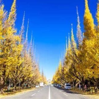 11/29 あにおた紅葉オフ🍁