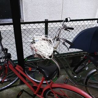自転車なくなりました。