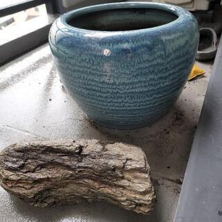 めだか鉢　ビオトープ　陶器　アンティーク　骨董品