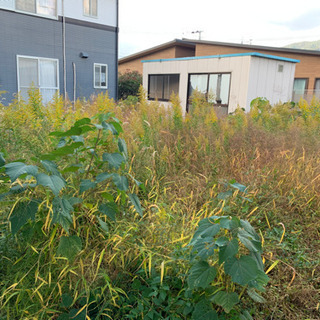 空き家の草刈り