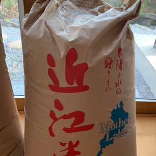 令和5年 コシヒカリ 30キロ  即取引可能☆