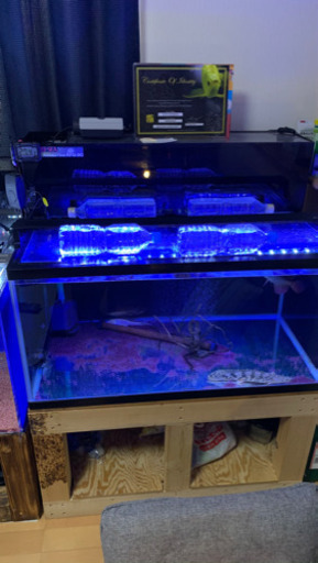 水槽フルセット＋台＋魚