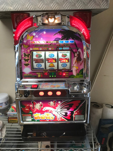 【値下】南国育ち　スロット