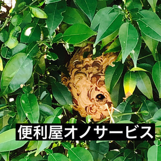 小牧市、春日井市、豊山町、尾張旭市、蜂の駆除、ヘビの駆除、…