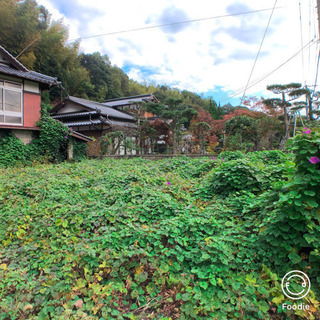 賃料1年間無料 😭行橋市 上稗田  500坪😊ただいま満室 - 賃貸（マンション/一戸建て）