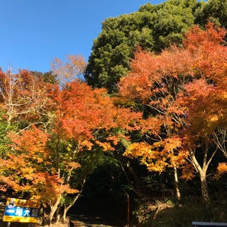 *:..｡o○☆メンバー募集☆○o。..:* 