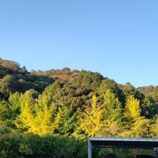 自然の力　分かち合い体験　in　香川