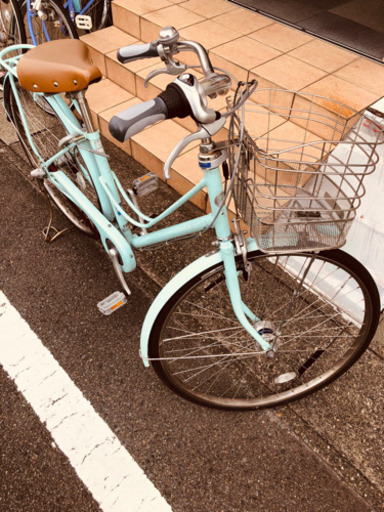 BS カジュナDXベルト GRN
