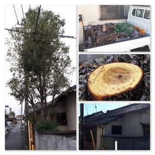 🌿 お庭のお手入れは【ヘルプマン】にお任せください！ 🌿 ✅ 剪定・草刈り・木伐採など、お庭のことなら何でも対応！ ✅ 和歌山市・岩出市・海南市・紀の川市ほか、近郊エリアに出張！ ✅ 大阪南部エリアも対応可能！ ✅ 親切＆丁寧な対応で安心！お見積り無料！ - 剪定/造園