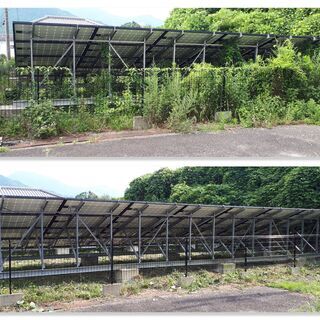 🌿 お庭のお手入れは【ヘルプマン】にお任せください！ 🌿 ✅ 剪定・草刈り・木伐採など、お庭のことなら何でも対応！ ✅ 和歌山市・岩出市・海南市・紀の川市ほか、近郊エリアに出張！ ✅ 大阪南部エリアも対応可能！ ✅ 親切＆丁寧な対応で安心！お見積り無料！ − 和歌山県