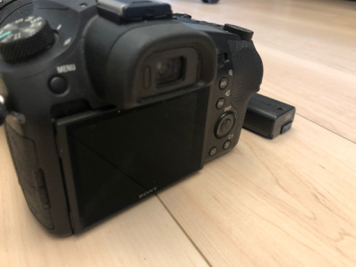 SONY RX10