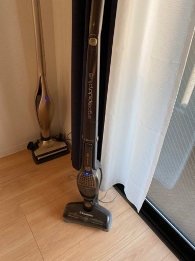 ニトリ電子レンジ&エルゴラピード掃除機