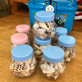 無料！貝殻いろいろ♪ハンドメイド工作の材料にいかがでしょうか？