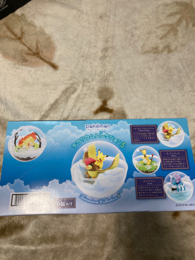 ポケモン　テラリウムコレクション5