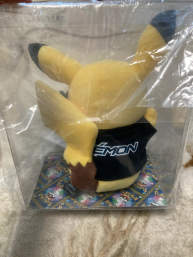 ポケモン✖️beams コラボ　カードとバッチ付き