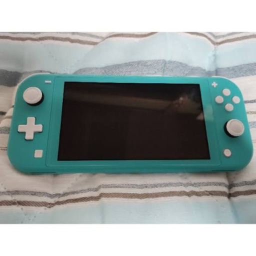 Switch lite ⭐️カセット付き　⭐️スマブラマリオカート　⭐️中古　⭐️美品