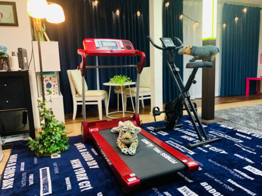 ?❤️健康器具2点セット?‍♀️‼️‼️❤️❤️?