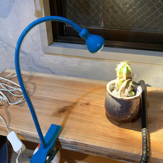 IKEA イケア　照明　おしゃれの画像