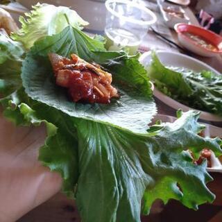 🐷【11/12(木)】20:30より◎サムギョプサル飲み会🐷🍺