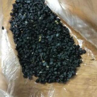 ニラの種 お譲り先、決まりました