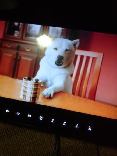 テレビです。
