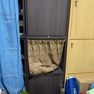 ベルーナで購入