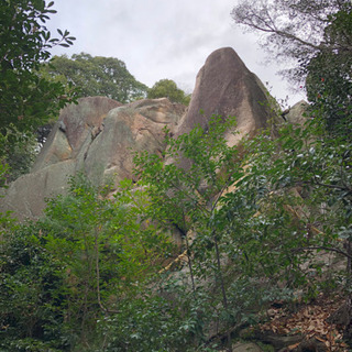臨時巫女奉仕者(アルバイト)募集の画像