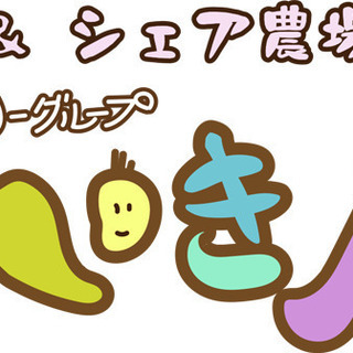 はるさー仲間、募集中です！