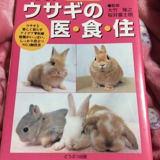 うさぎの医・食・住に、詳しくなれる本
