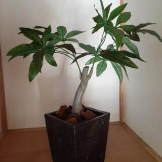 造花　植木