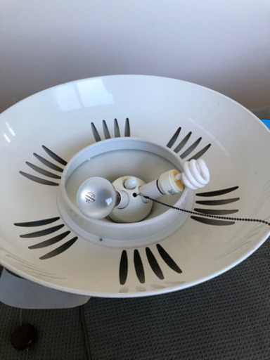 電気