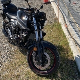 mt25丸目カスタムの画像