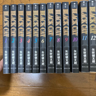 BLACK CAT　全巻セット　全12巻