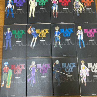 BLACK CAT　全巻セット　全12巻の画像