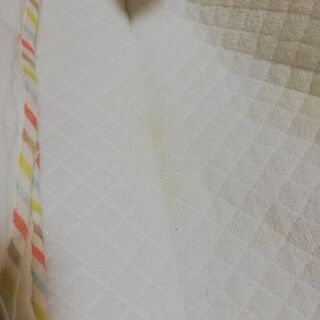 クーハンの画像