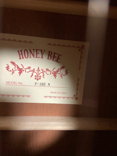 Honey Bee エレクトリックアコースティックギター