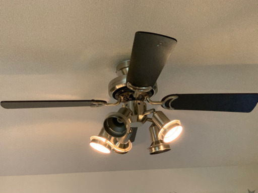 ODELICシーリングファン