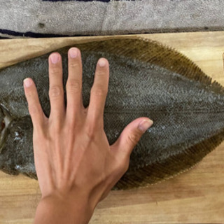 一緒に魚突きしましょう♪