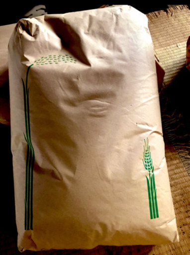 新米　もち米　30kg